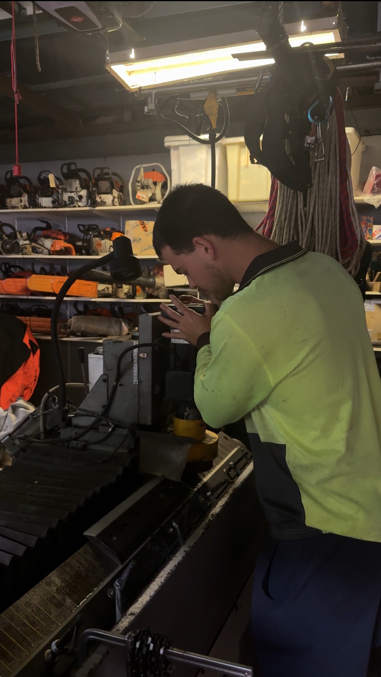 Sam at Steady Eco — arborist and landscaper, Cairns